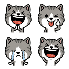 Anim. Silver&White Tabby 2nd