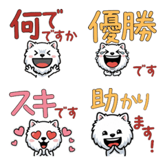 ปอมเมอเรเนียนสีขาว 6th สุภาพ