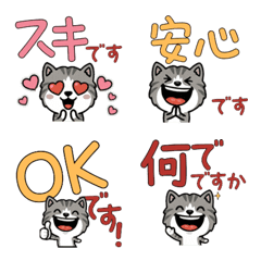 แมวสลิดเงินขาว 5th สุภาพ