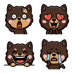 ชิวาวาช็อกโกแลตเล่นใหญ่ 1st