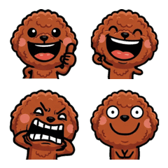 Overreaction Red Toy Poodle 1st