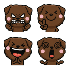 Overreaction Choco Lab 1st