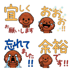 Polite Red Toy Poodle 5th