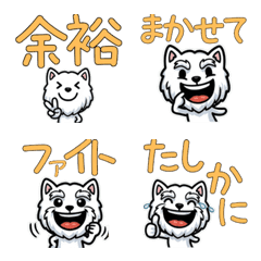 Overreaction White Schnauzer 3rd