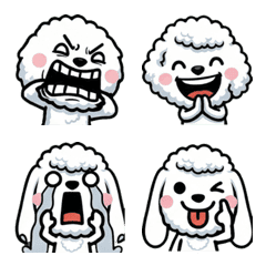 Overreaction White Toy Poodle 1st