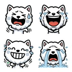 オーバーな白シュナウザー1