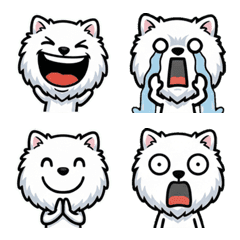 Overreaction White Pomeranian 1st