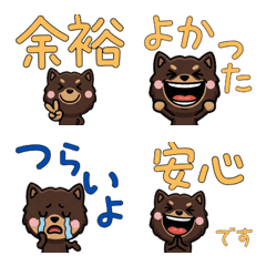 ชิวาวาช็อกโกแลต 3rd มีคำ