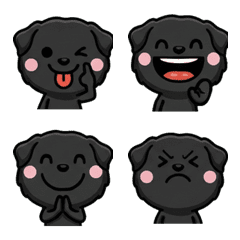 Overreaction Black Lab 1st