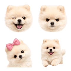 Cute Animal Emoji .
