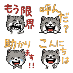 Overreaction Silver&White 3rd