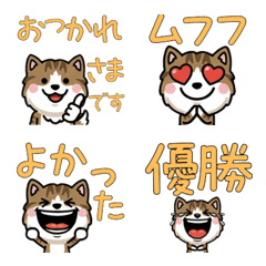 Overreaction Brown&White 3rd