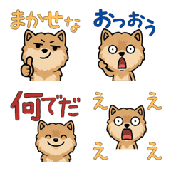 Overreaction Cream Pom 3rd Text