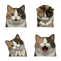 Realistic 3D Calico Cat Emoji