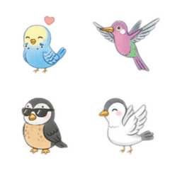 ゆるかわ鳥さん