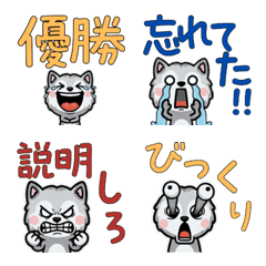 オーバーなチンチラシルバー3