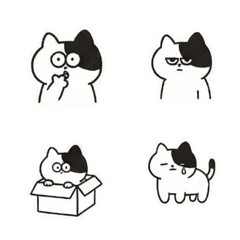 That One Sassy Black Spot Cat