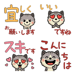 Anim. Polite Shaded Cat 6th