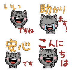 Anim. Polite Smoke Cat 6th