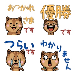 Anim. Polite Ground Squirrel 6th