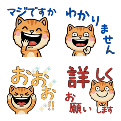 Anim. Polite Cameo Tabby 6th