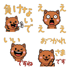 Anim. Polite Cinnamon Cat 6th