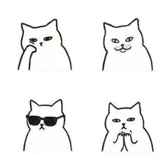 แมวผู้ประกอบด้วยพิซซ่า 99%