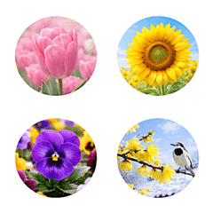 Round Seasonal Flower Emojis