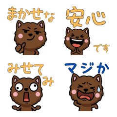 Anim. Chocolate Cat 4th Text