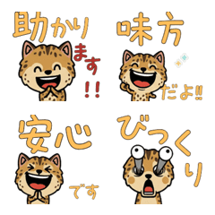 Anim. Serengeti 4th Text