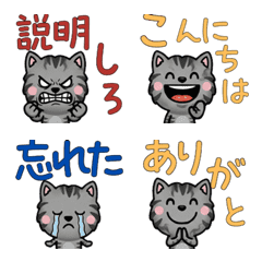 Anim. Smoke Cat 4th Text