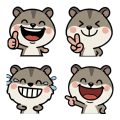 Anim. Chinese Hamster 2nd