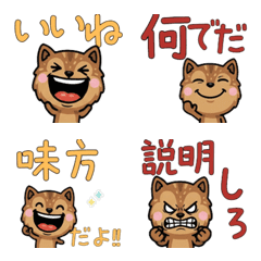 Anim. Ground Squirrel 4th Text