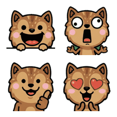 Anim. Ground Squirrel 2nd