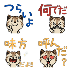 Anim. Sokoke 4th Text