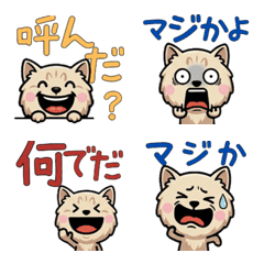 Anim. Chantilly 4th Text