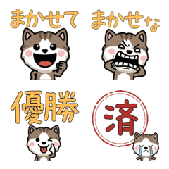 動くオホサレス4