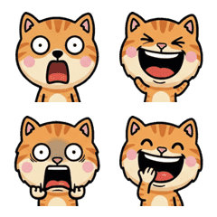 動くカメオタビー猫2