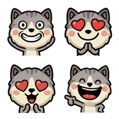 Anim. Shaded Cat 2nd