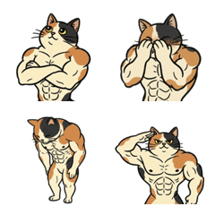 肌肉貓表情符號