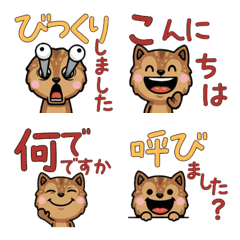 Polite Ground Squirrel 5th