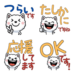 Polite Sealyham Terrier 5th