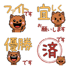 Polite Cinnamon Cat 5th