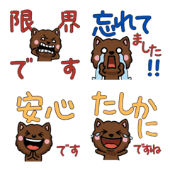 Polite Chocolate Cat 5th