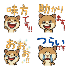 敬語のキャンベルハム5