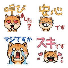 敬語のカメオタビー猫5