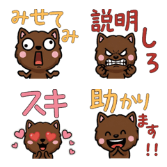 Overreaction Chocolate Cat 3rd