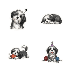 The Ultimate Cozy Companion