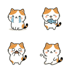 แมวแคลลิโค: อารมณ์สวิง