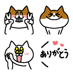 A loose cat with a lot of reaction  3